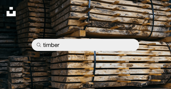 Searching for timber in Sydney