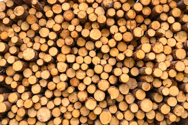 The Impact of Global Trends on Sydney's Timber Suppliers