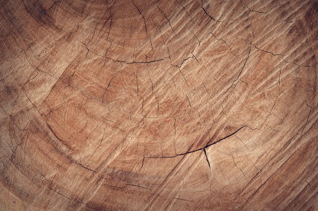 Finding the Best Timber Yard in Sydney