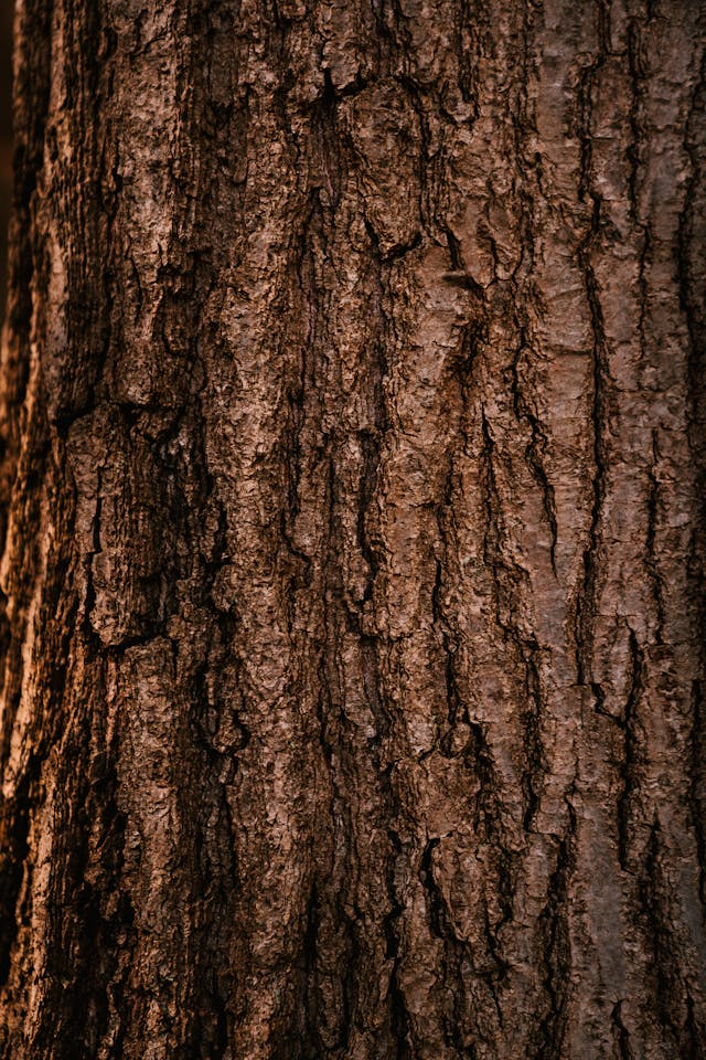 Timber Yard Sydney